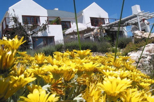 Farr Out Guest House Farr Out Guest House